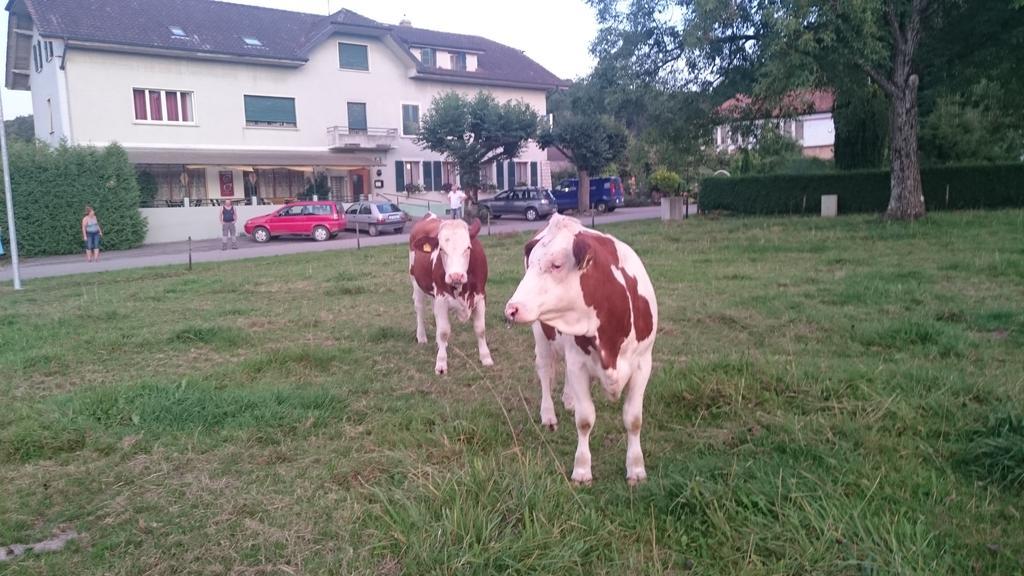 Hotel De La Gare, Vendlincourt Dış mekan fotoğraf
